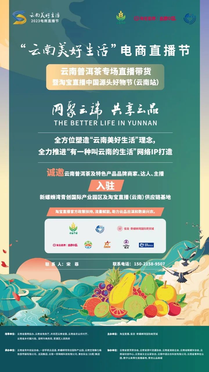 云南普洱茶全解析：从古树茶产地到茶饼定制与批发的实用指南